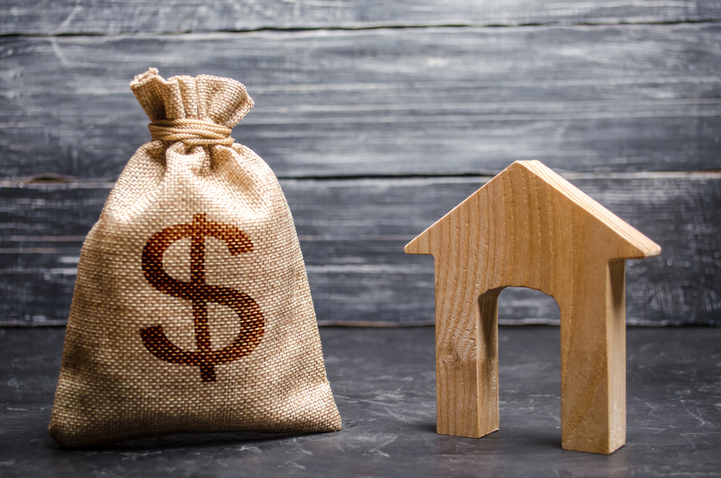 can I afford a house - money bag